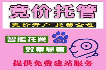 SEM优化策略：案例解读成功之道